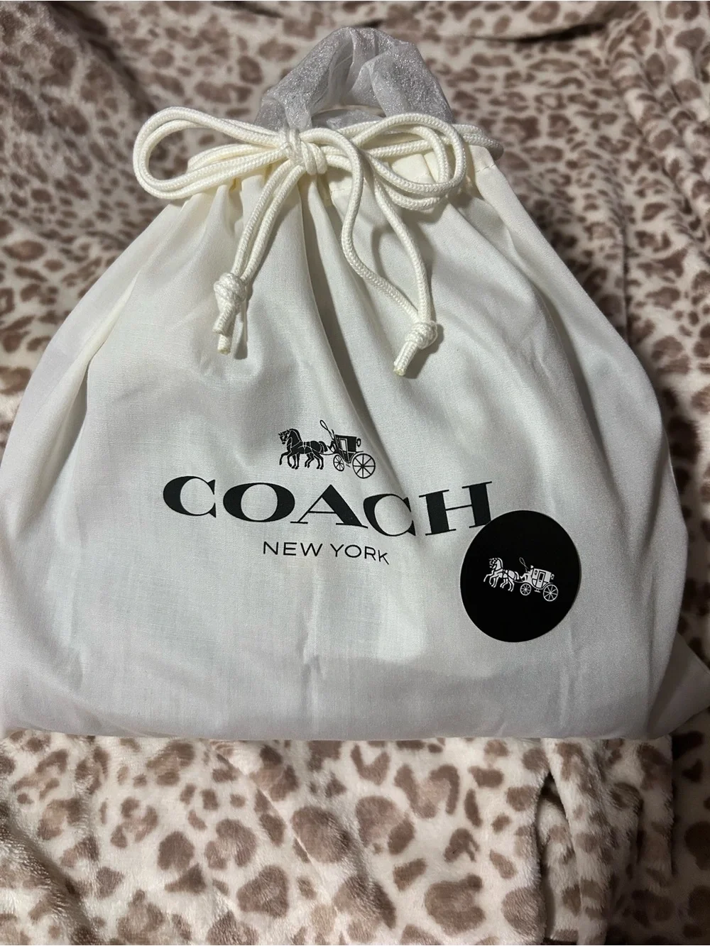 Coach Brown Suede Rhyd­er 24 Satchel with Gold Hardware
